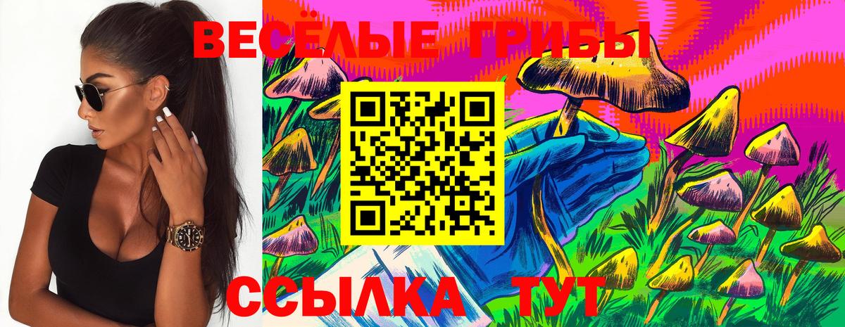 Псилоцибиновые грибы мицелий Алапаевск