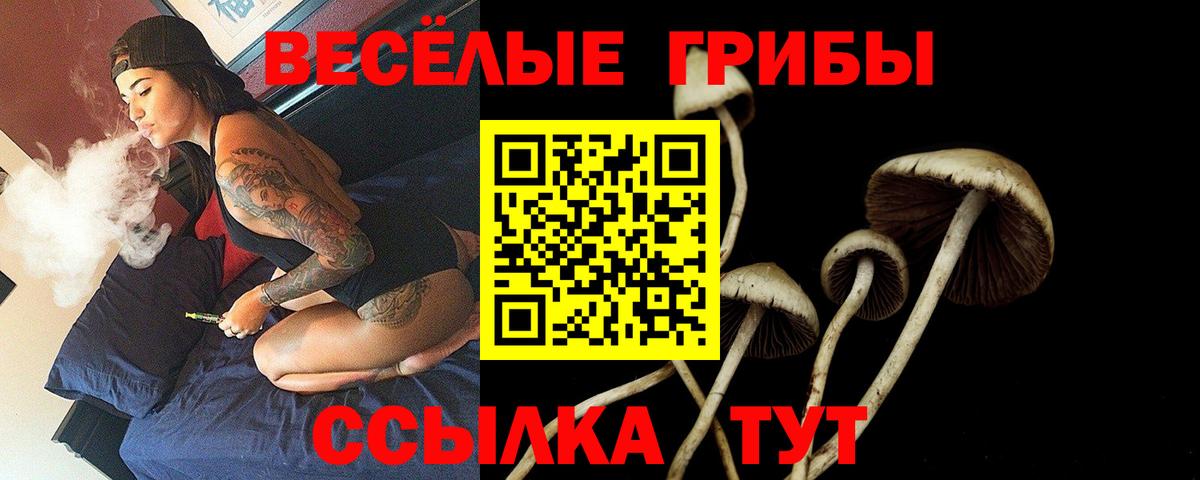 где продают наркотики  Псилоцибиновые грибы мицелий  Галлюциногенные грибы мицелий  Вход с VPN  Алапаевск 